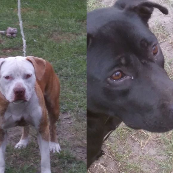 Meet your Posher, Halie - Picture 1 of 1